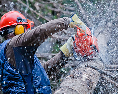 How as regularly as conceivable do you require a tree trimming service?