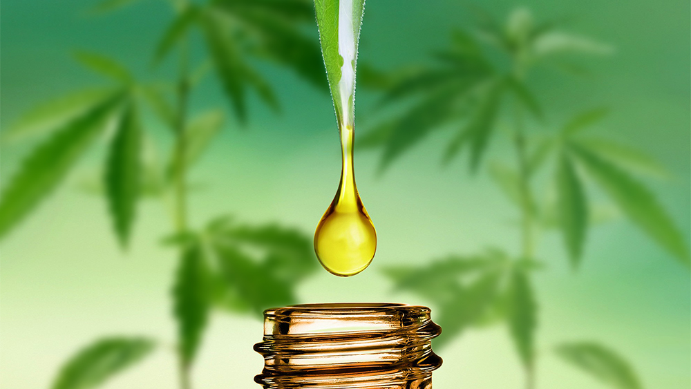 Using CBD Oil for Pain Relief 